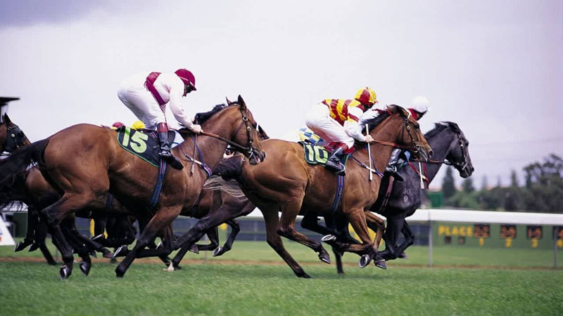 Horse Racing